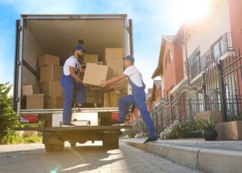 The 15 Best Moving Companies in Miami, FL 2024