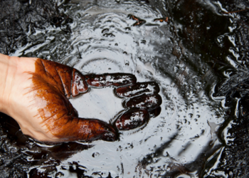 Crude oil vs. Brent oil